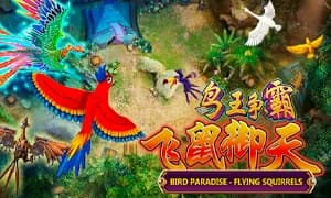 Bird Paradise