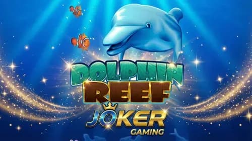 Dolphin Reef