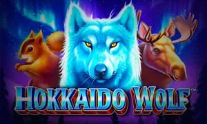Hokkaido Wolf