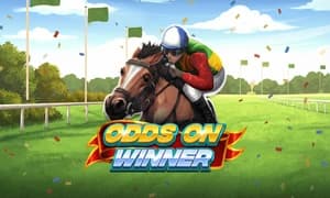 Odds On Winner