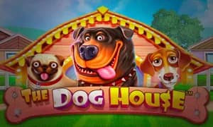 The Dog House